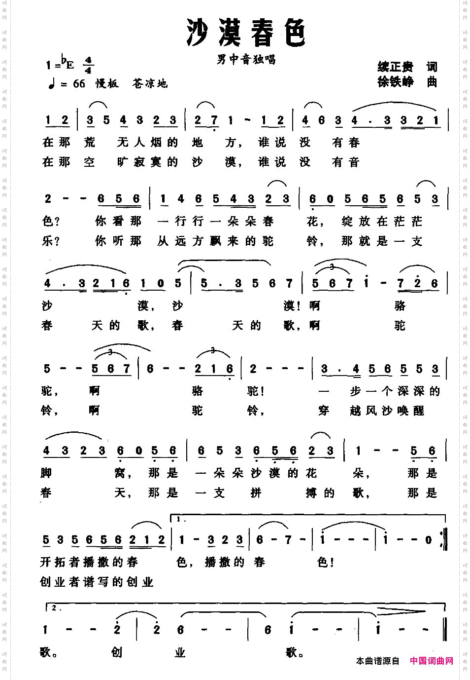 沙漠春色