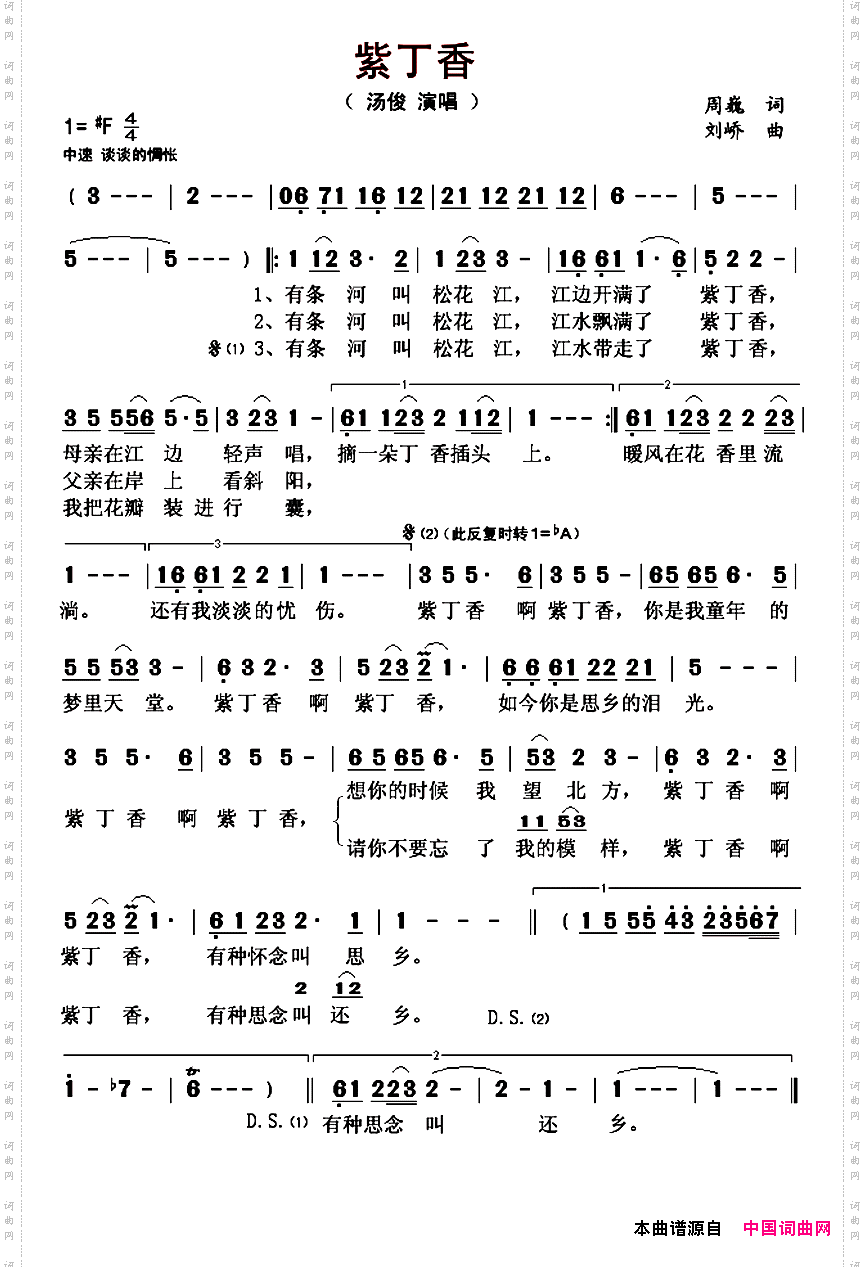 紫丁香