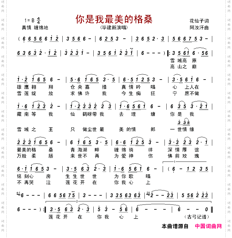 你是我最美的格桑
