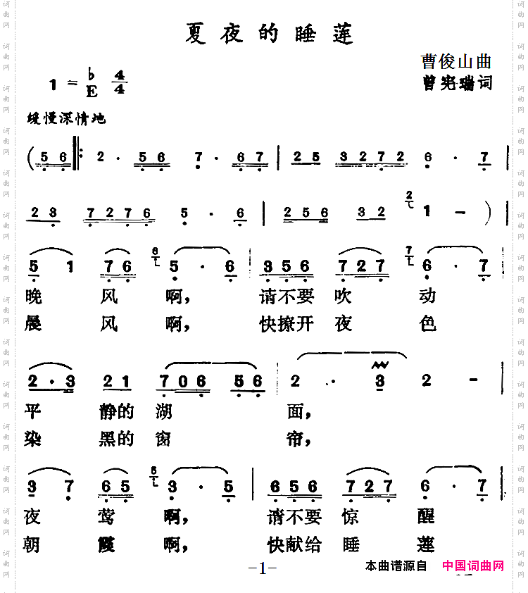 夏夜的睡莲