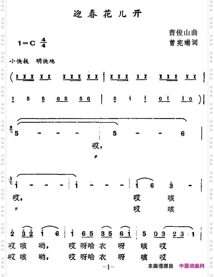 迎春花儿开