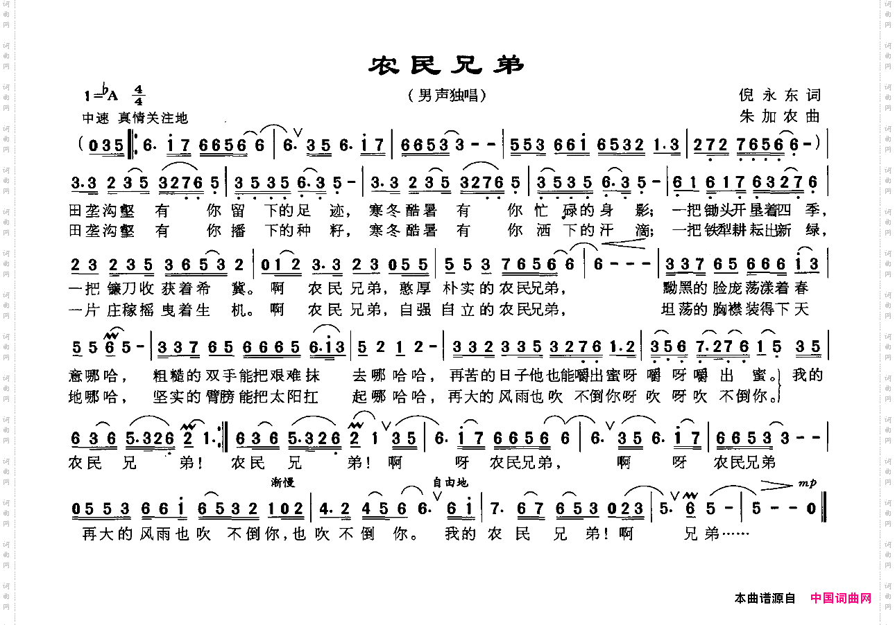 农民兄弟倪永东词朱加农曲_农民兄弟倪永东词 朱加农曲