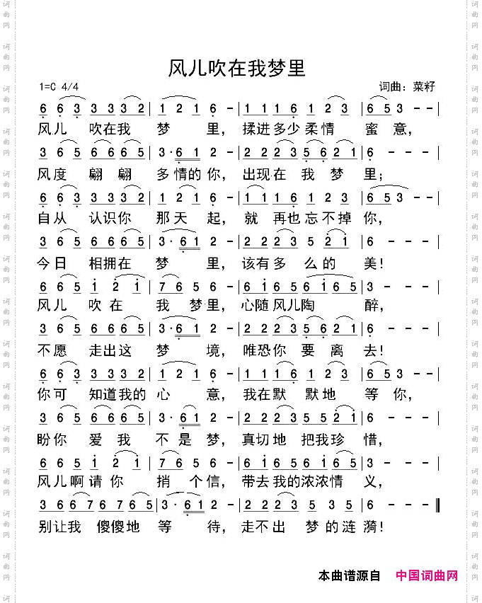 风儿吹在我梦里