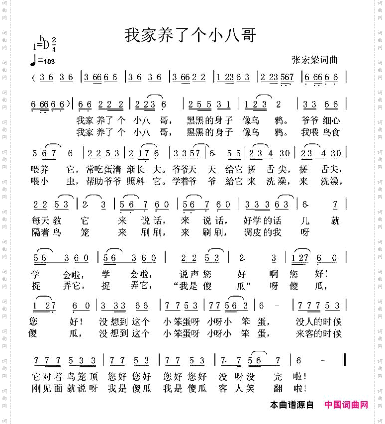 我家养了个小八哥