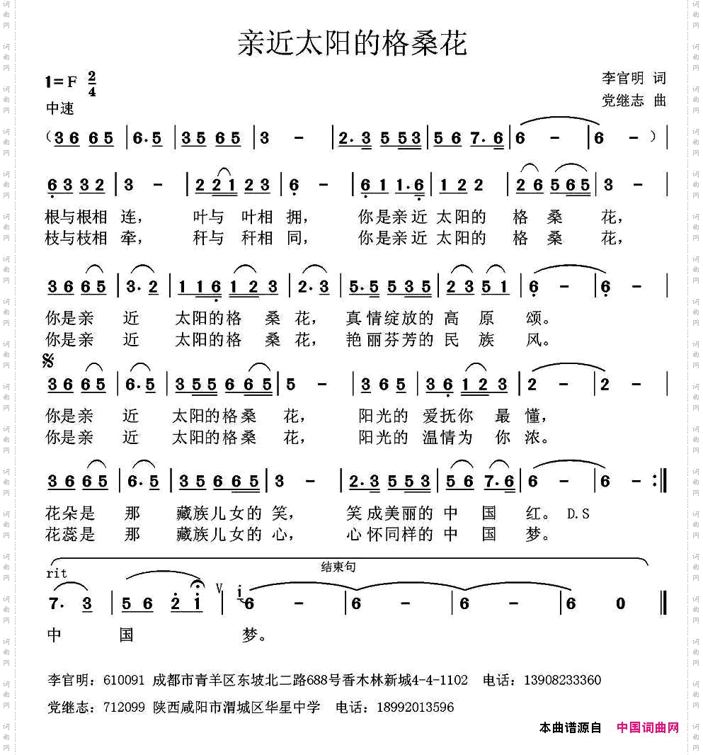 亲近太阳的格桑花