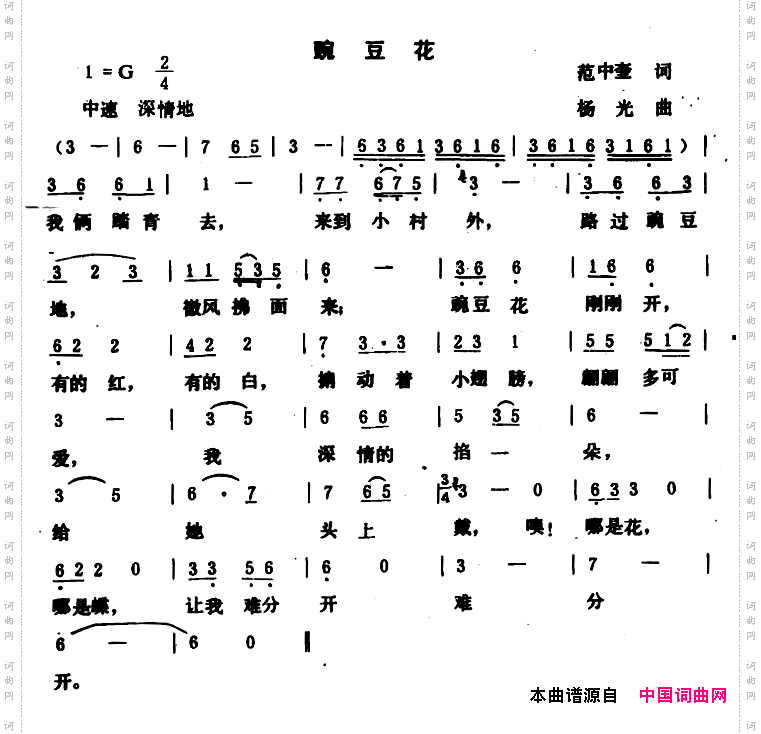 豌豆花