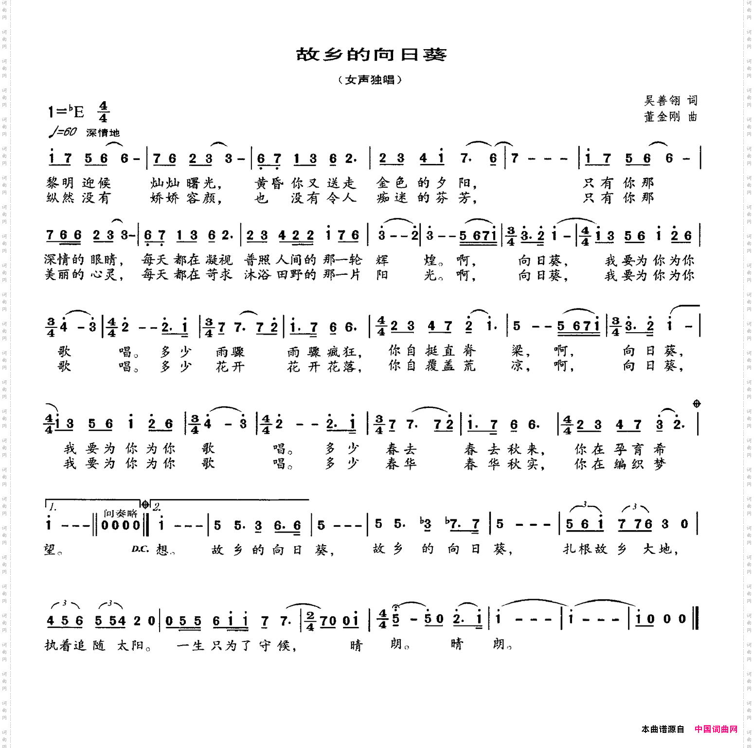 故乡的向日癸
