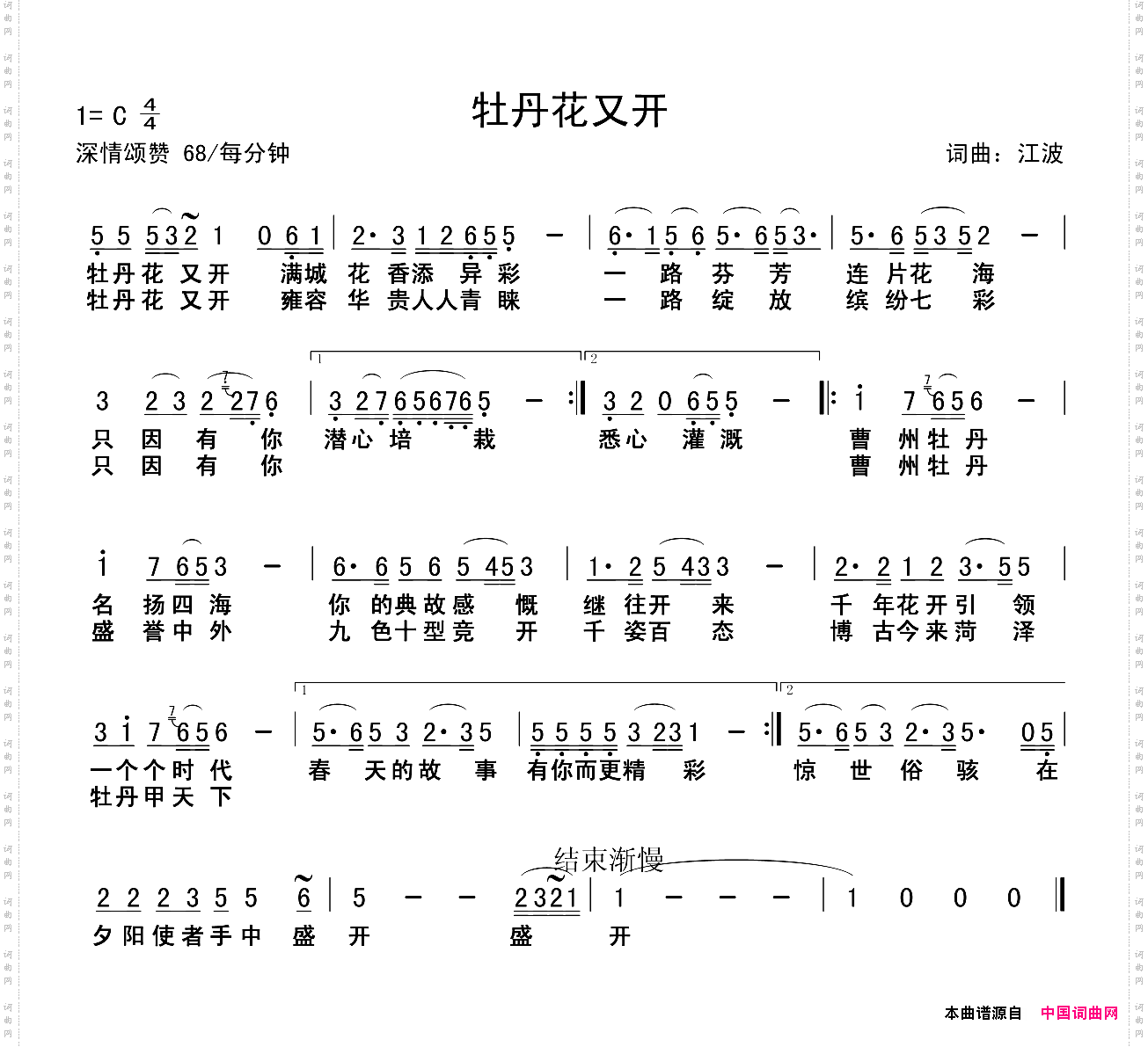 牡丹花又开