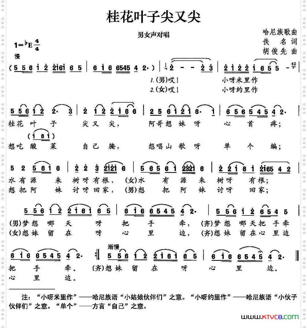桂花叶子尖又尖