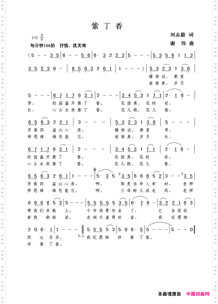 紫丁香