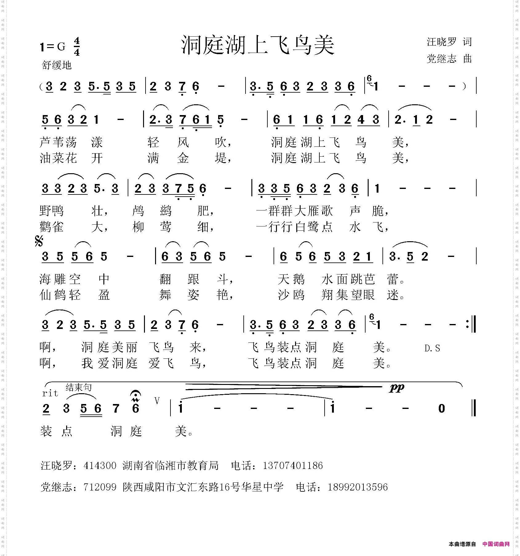 洞庭湖上飞鸟美