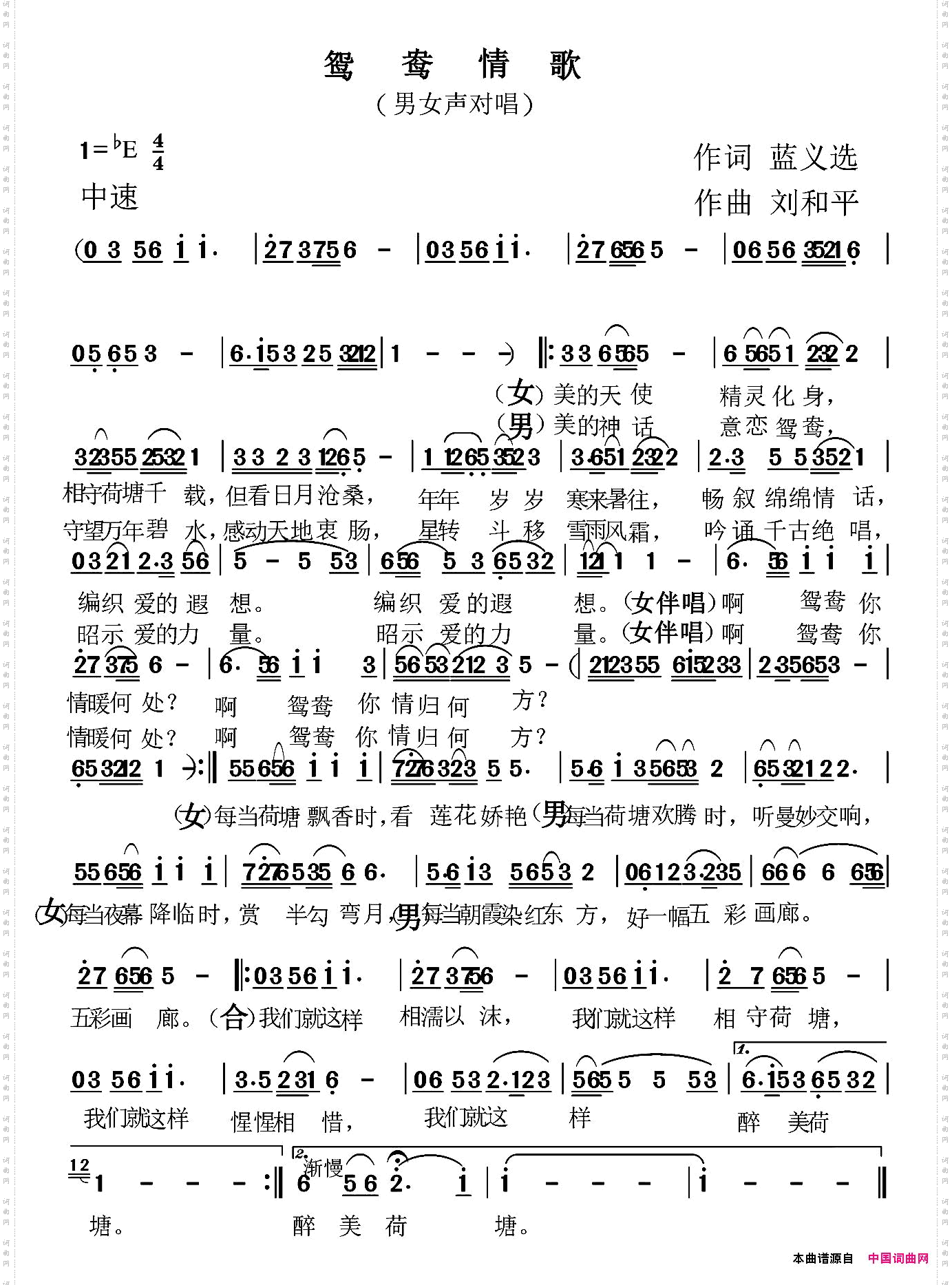 鸳鸯情歌