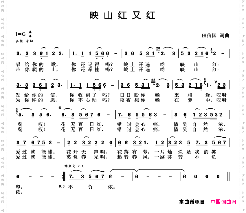 映山红又红