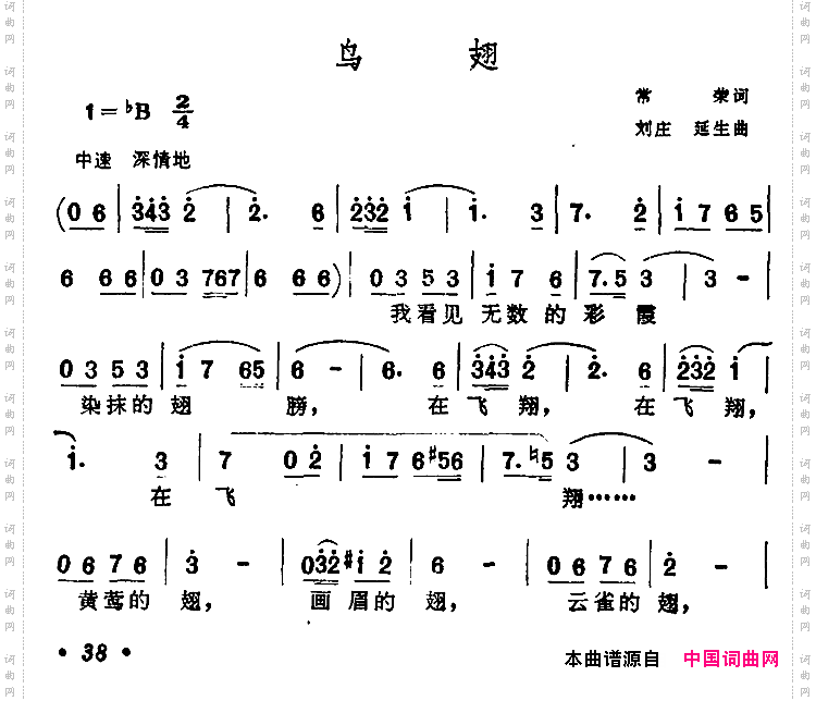 鸟翅