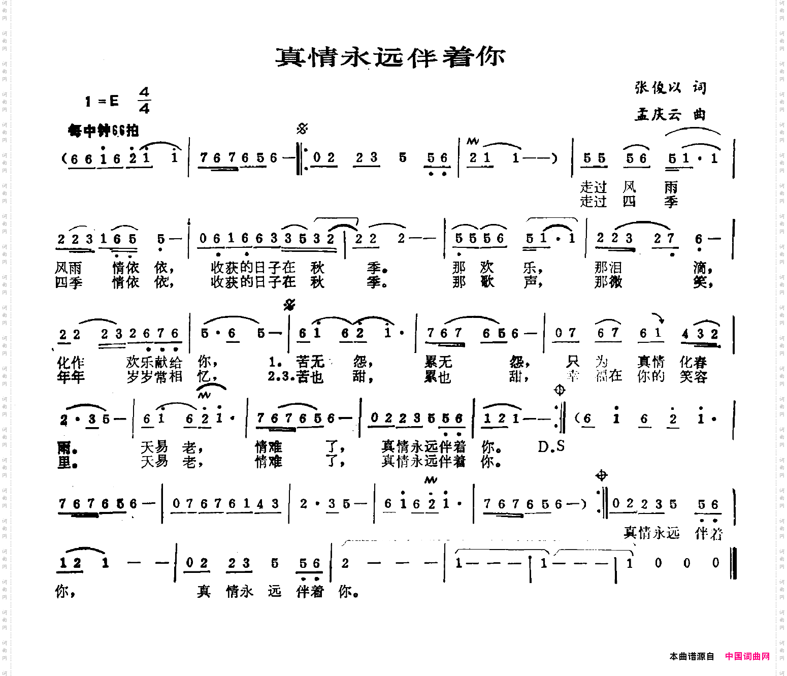 真情永远伴着你