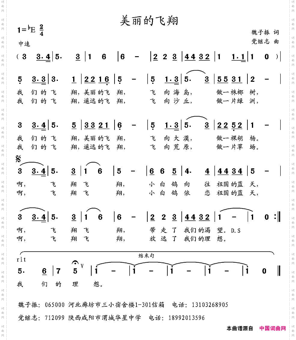 美丽的飞翔