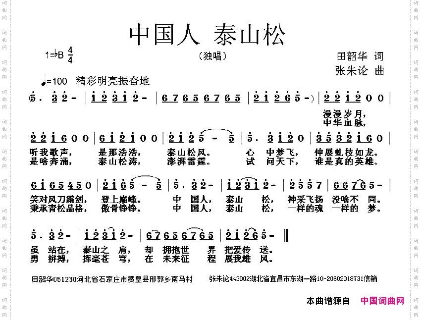 中国人泰山松