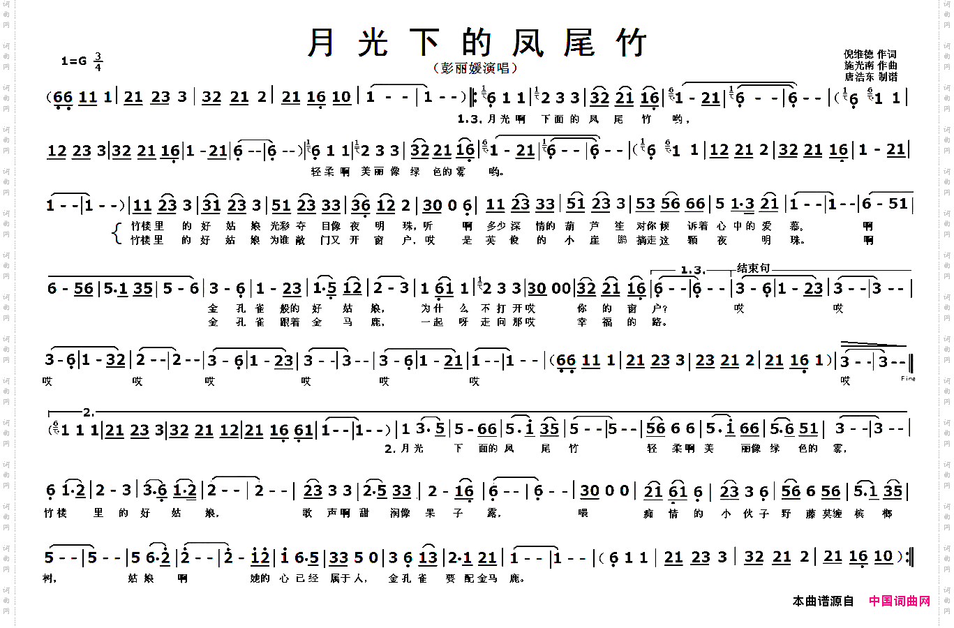 月光下的凤尾竹