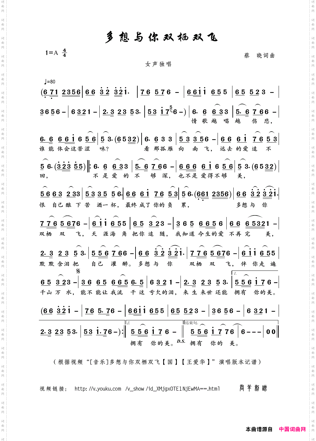 多想与你双栖双飞蔡晓词曲