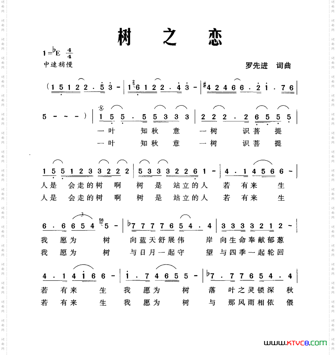 树之恋