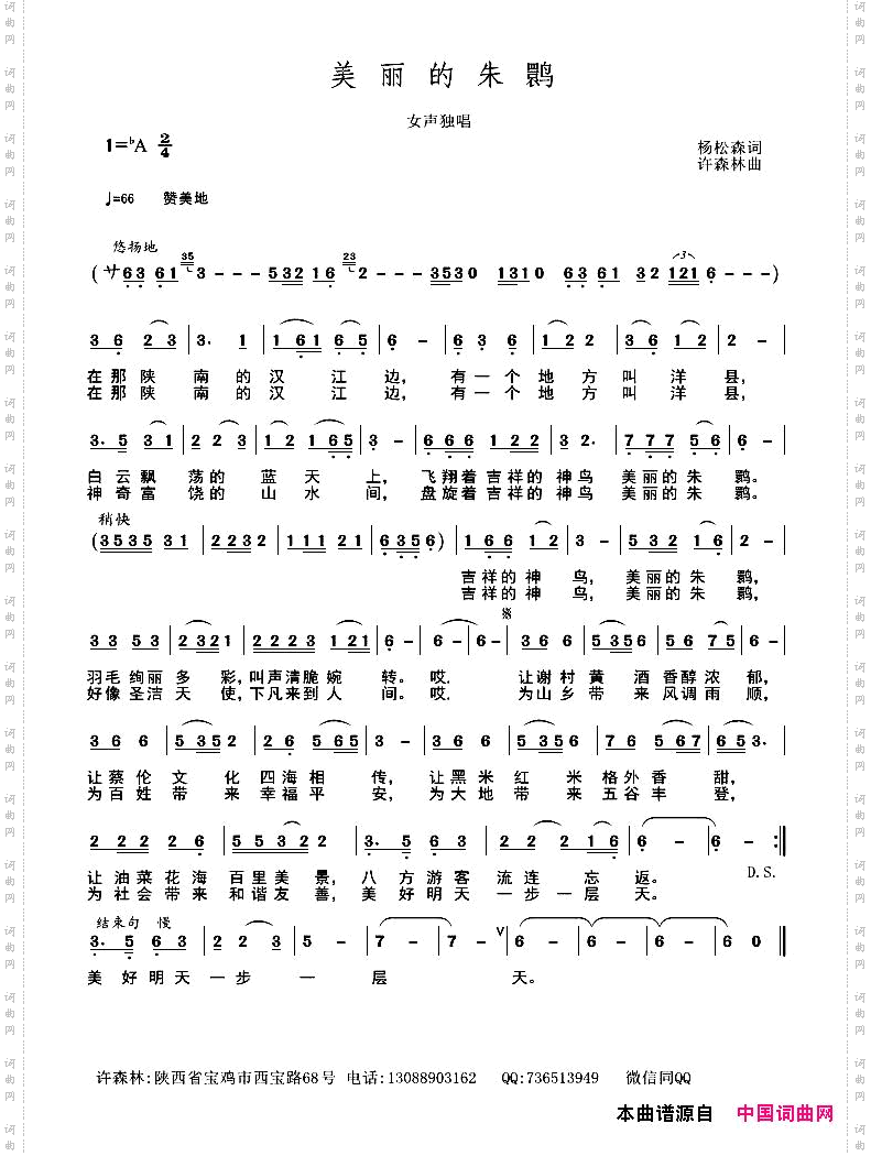 美丽的珠鹮