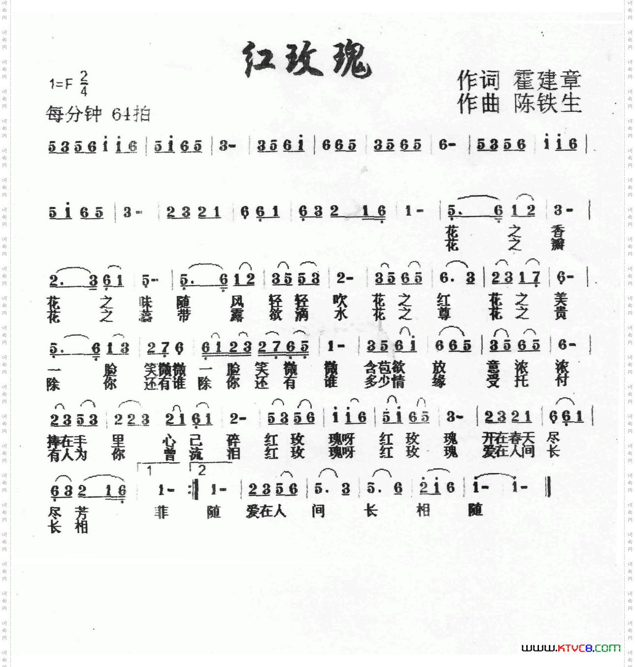 红玫瑰