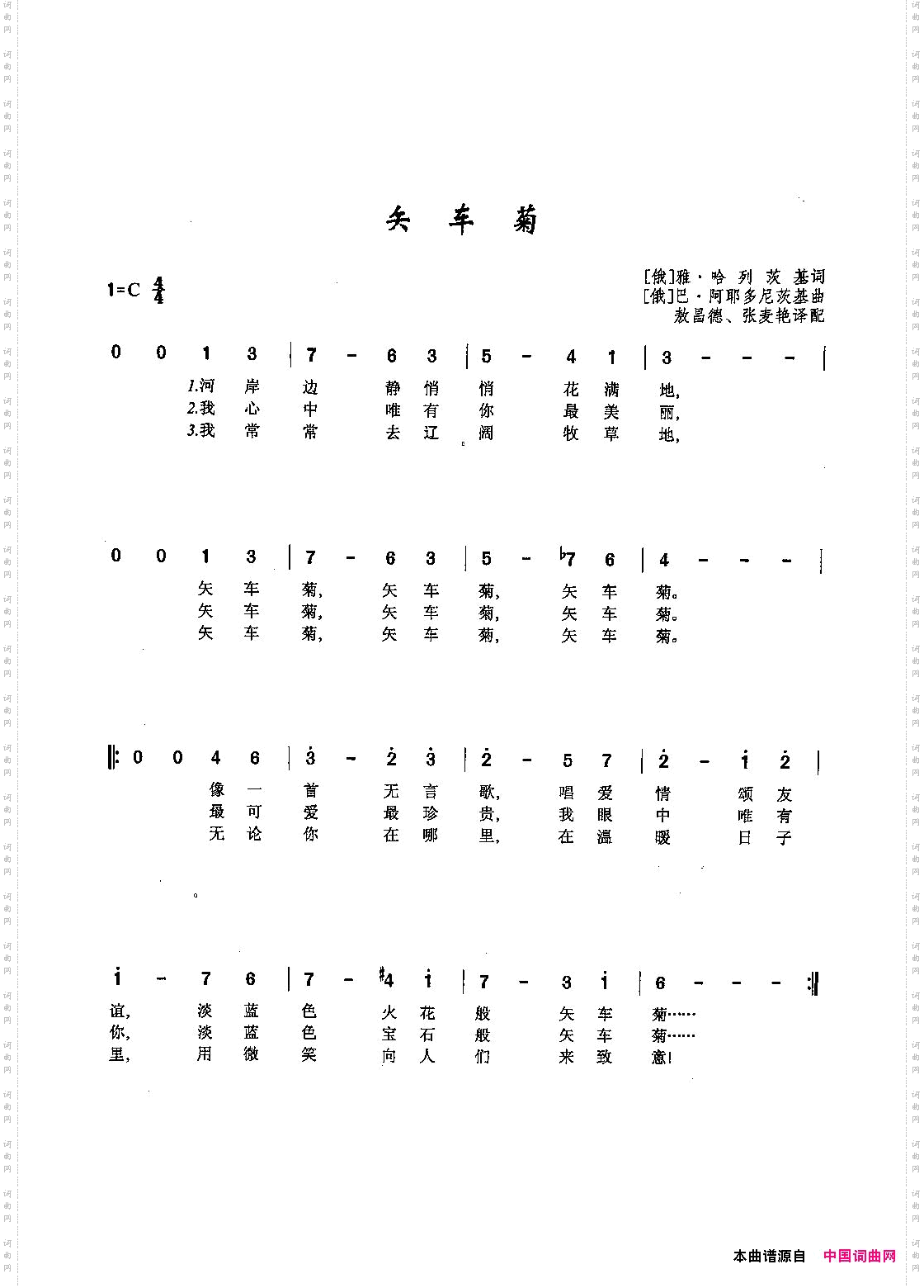 矢车菊_ [俄]28