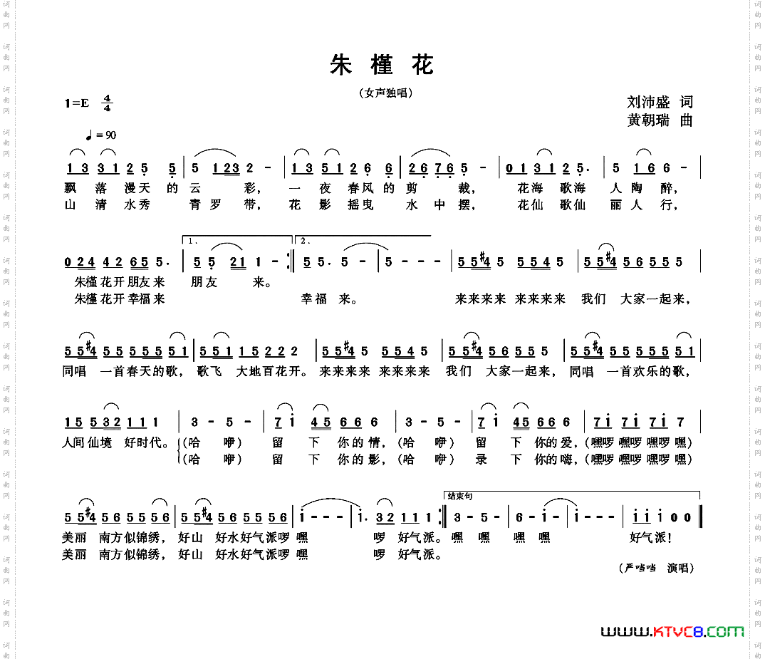朱槿花