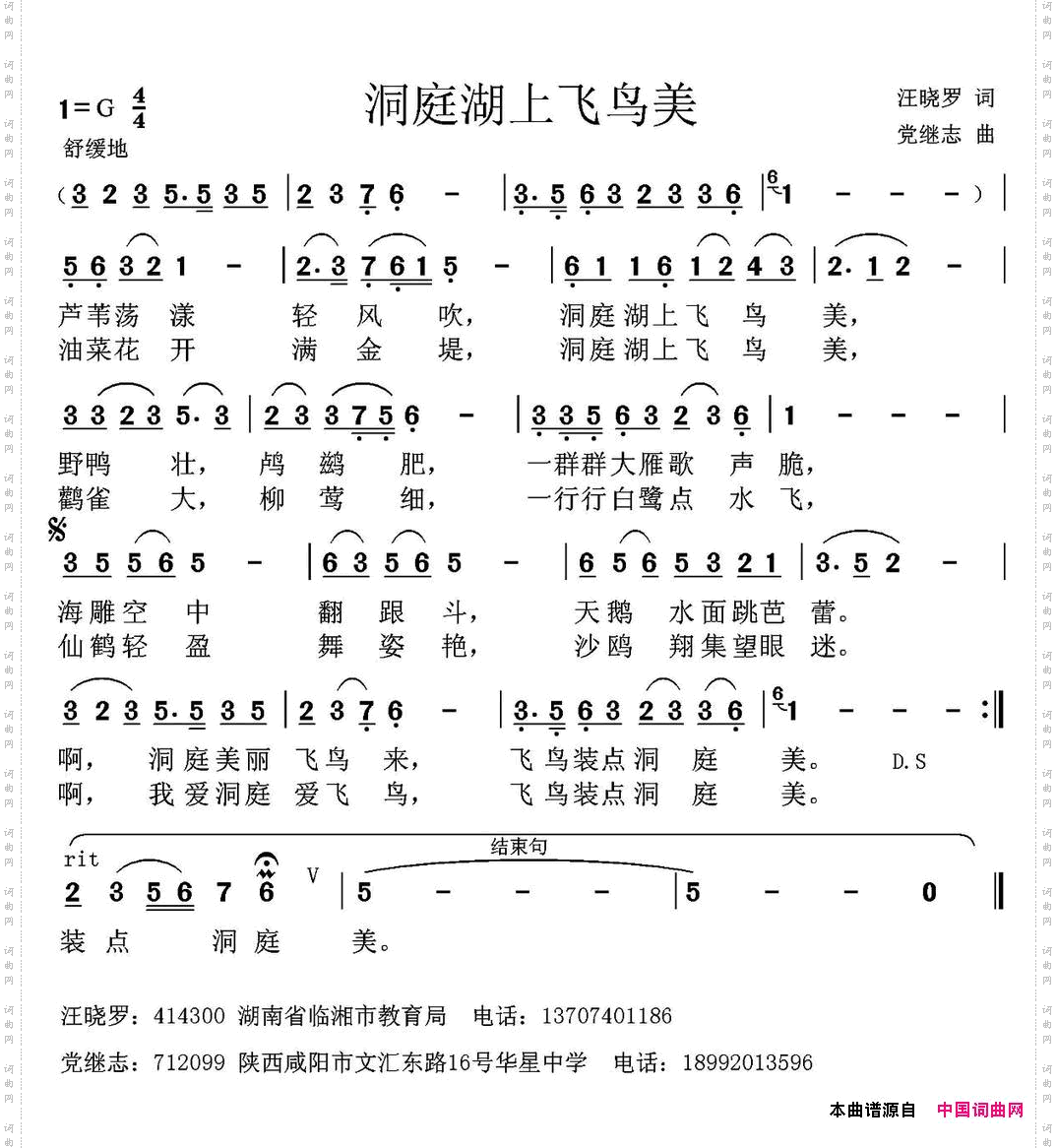 洞庭湖上飞鸟美