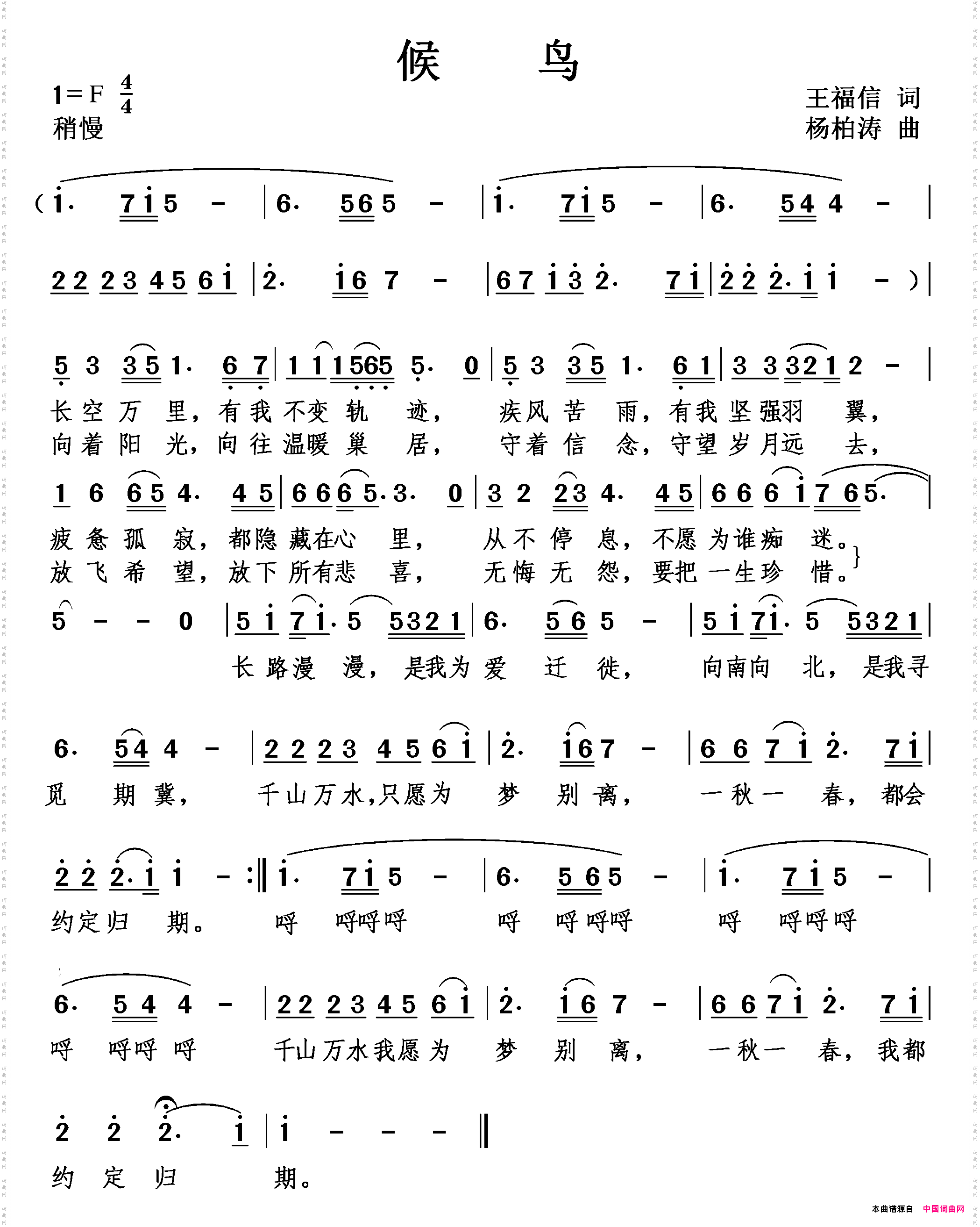 候鸟