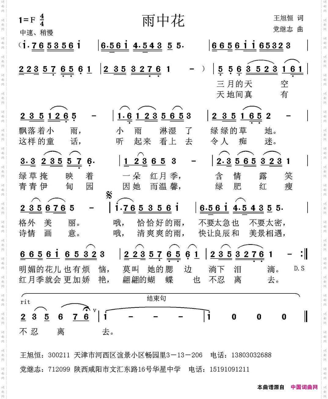 雨中花