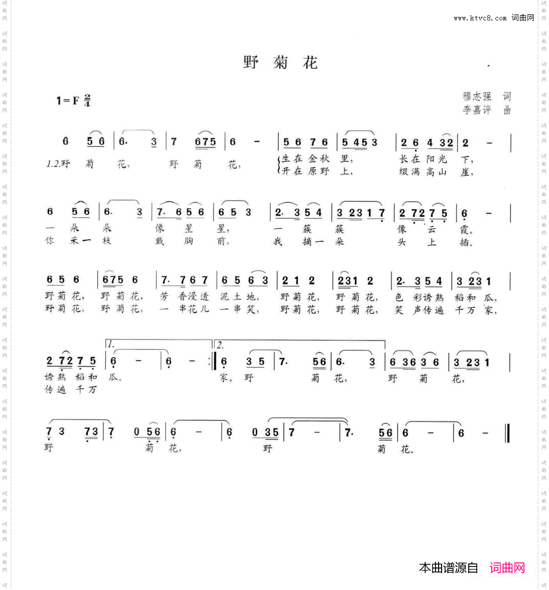 野菊花
