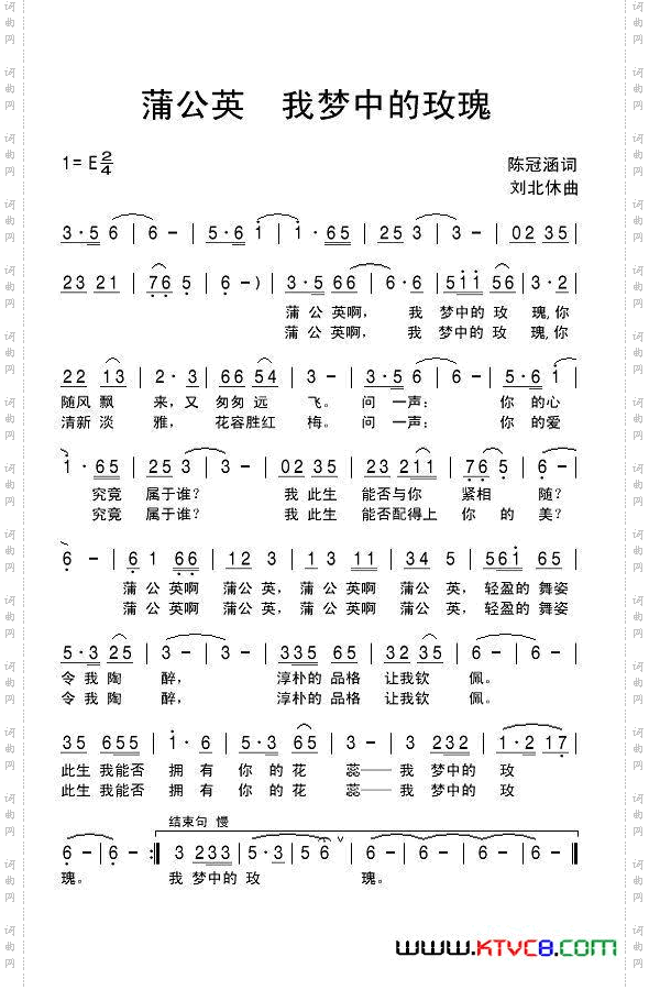 蒲公英，我梦中的玫瑰