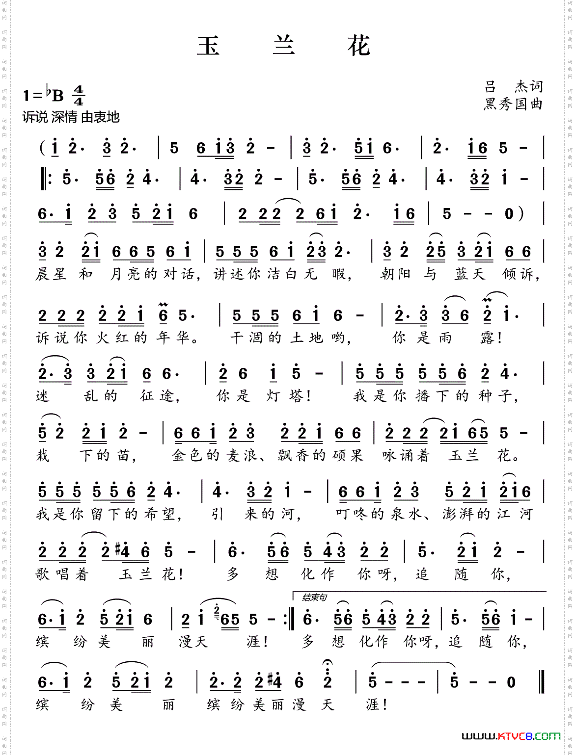 玉兰花
