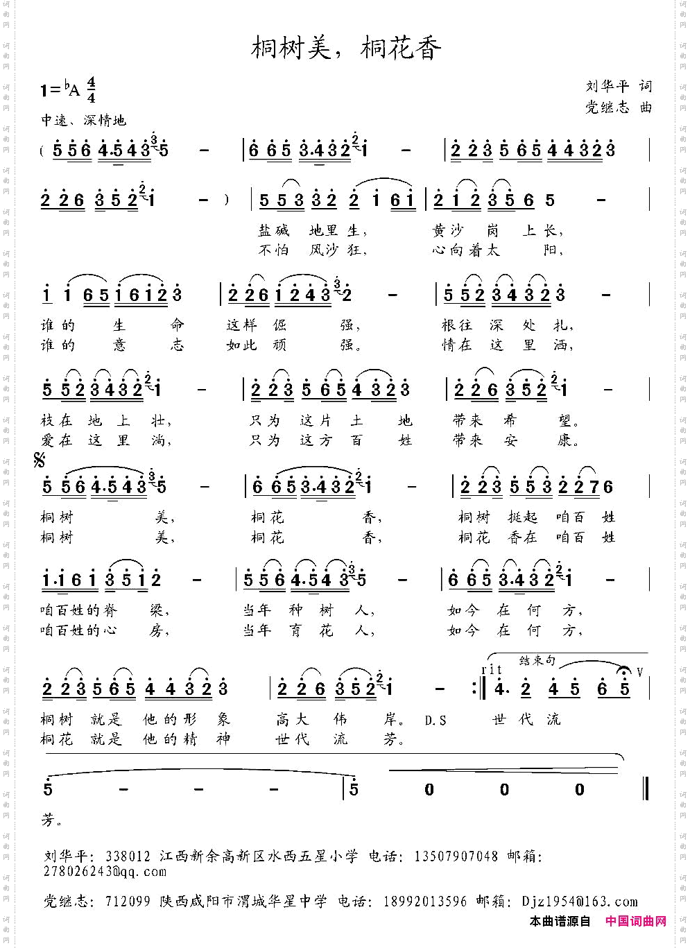 桐树美，桐花香