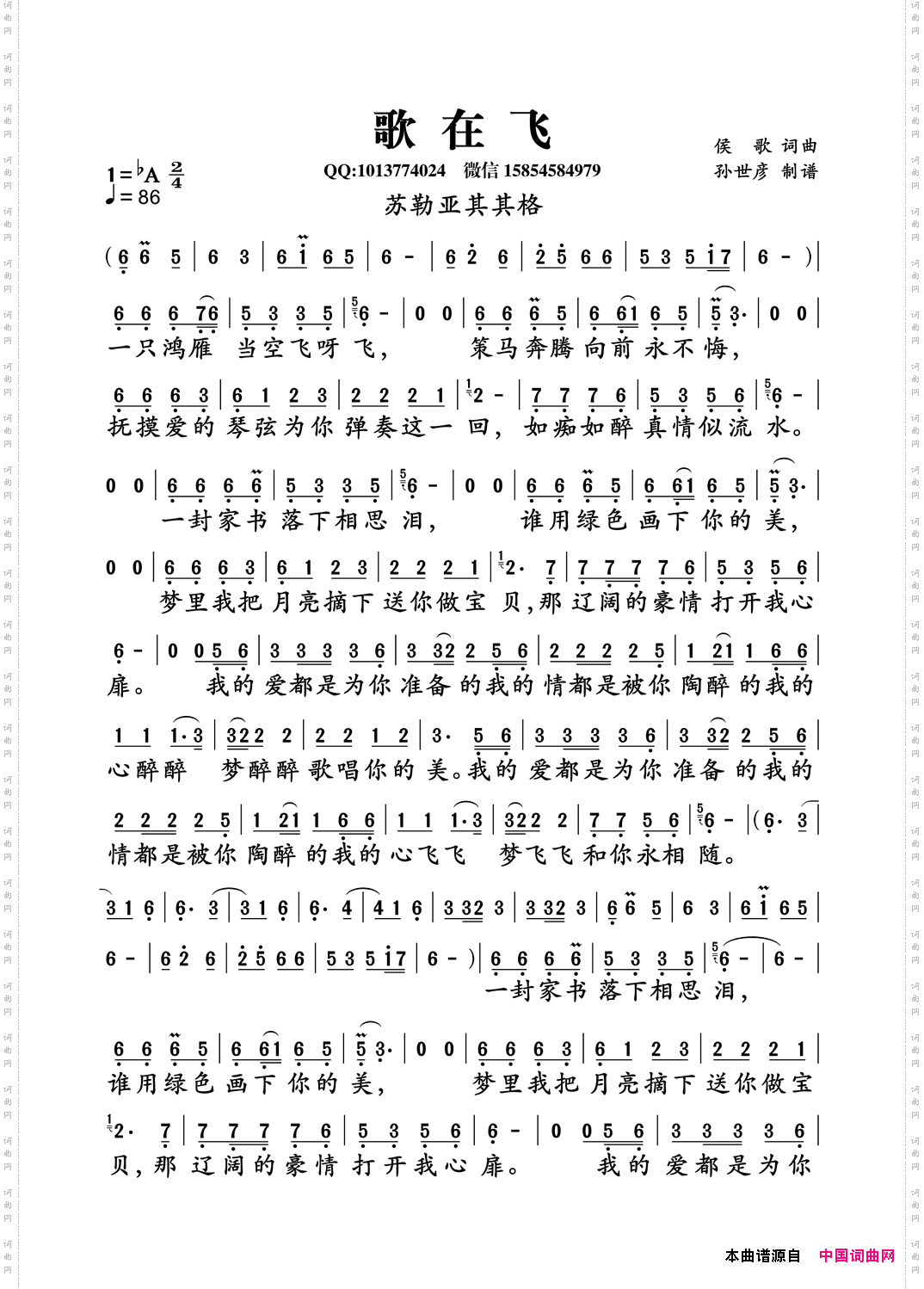 歌在飞
