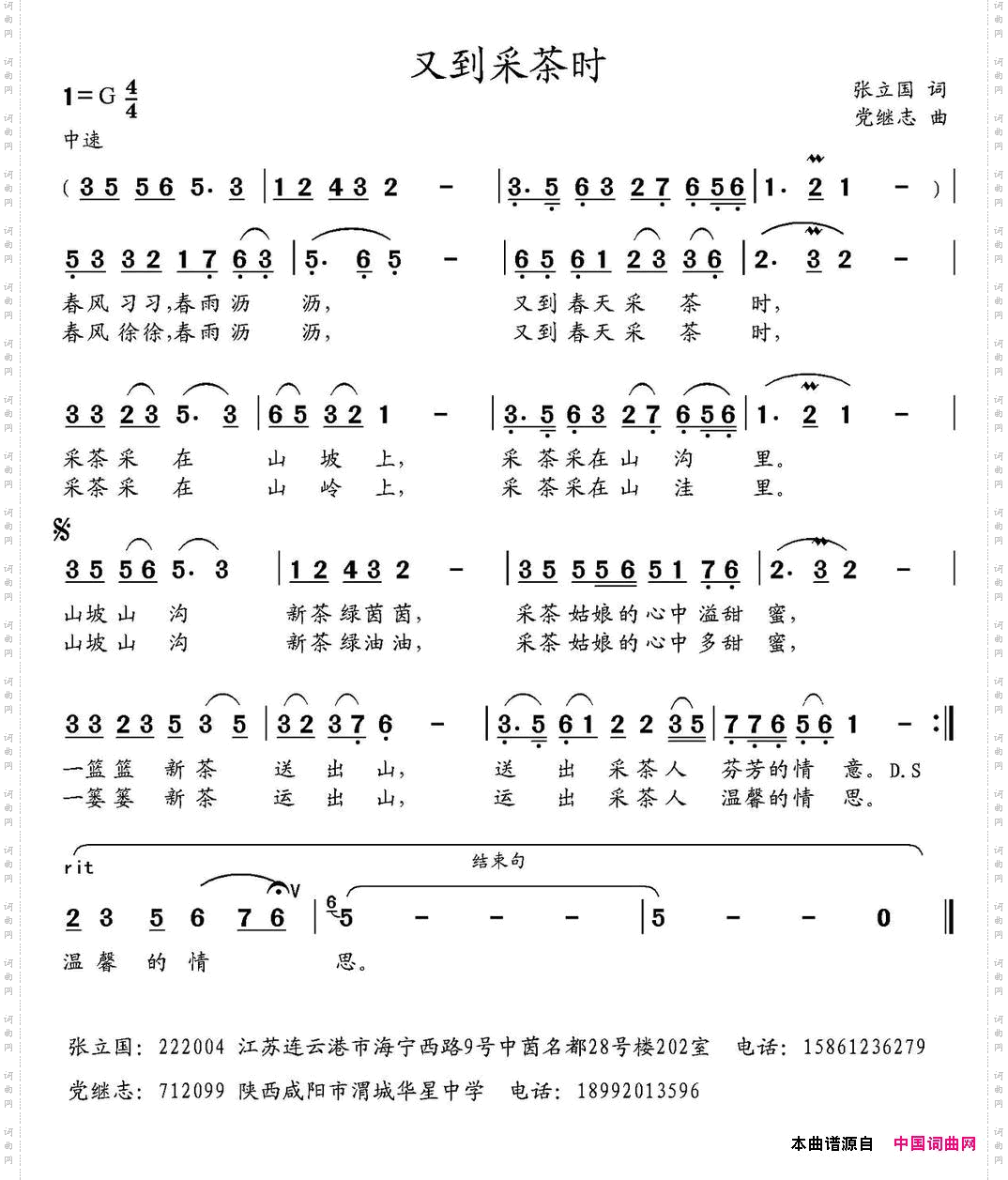 又到采茶时