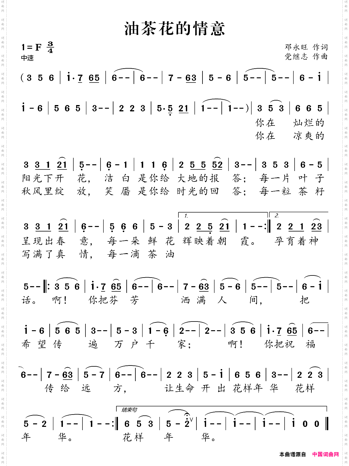 油茶花的情意