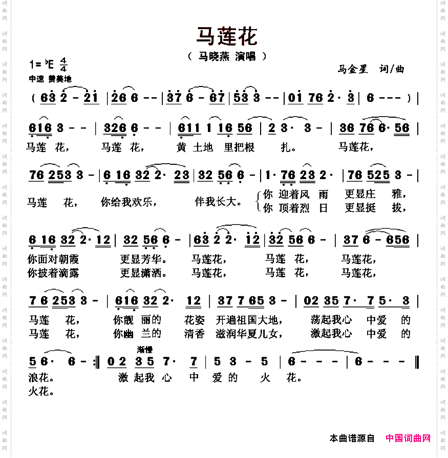 马莲花