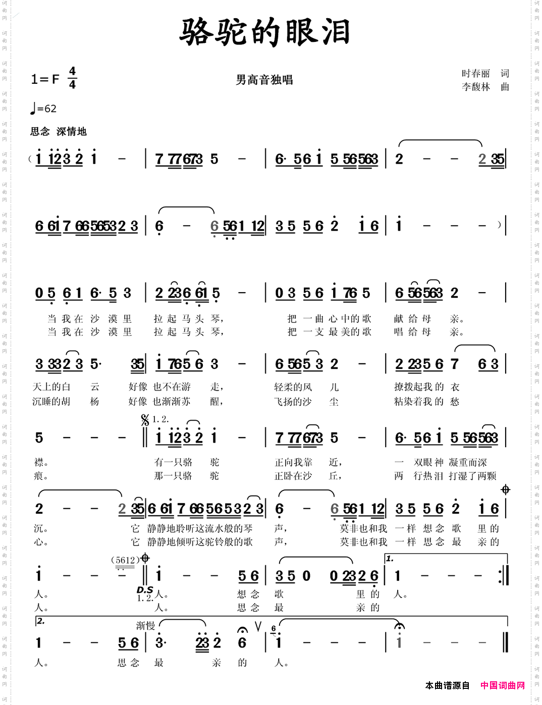 骆驼的眼泪