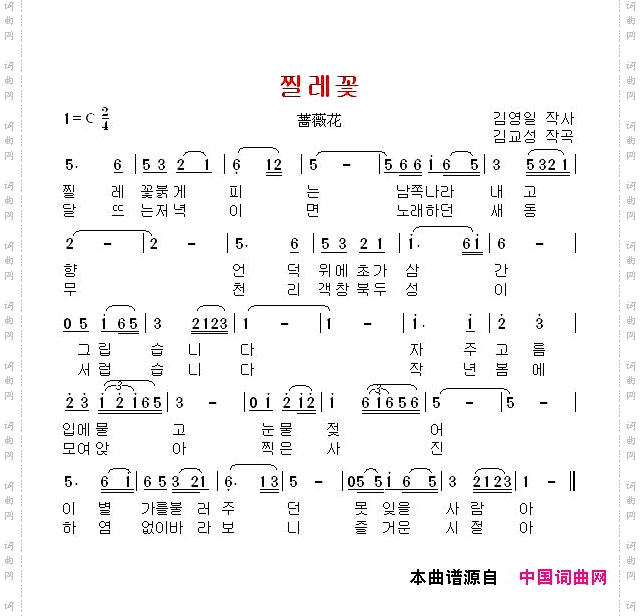 蔷薇花_【韩国】
