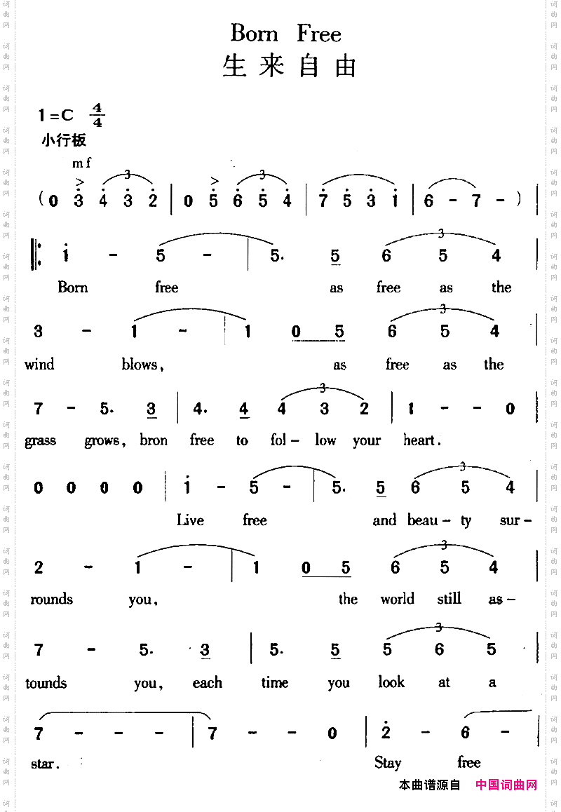 BornFree生来自由