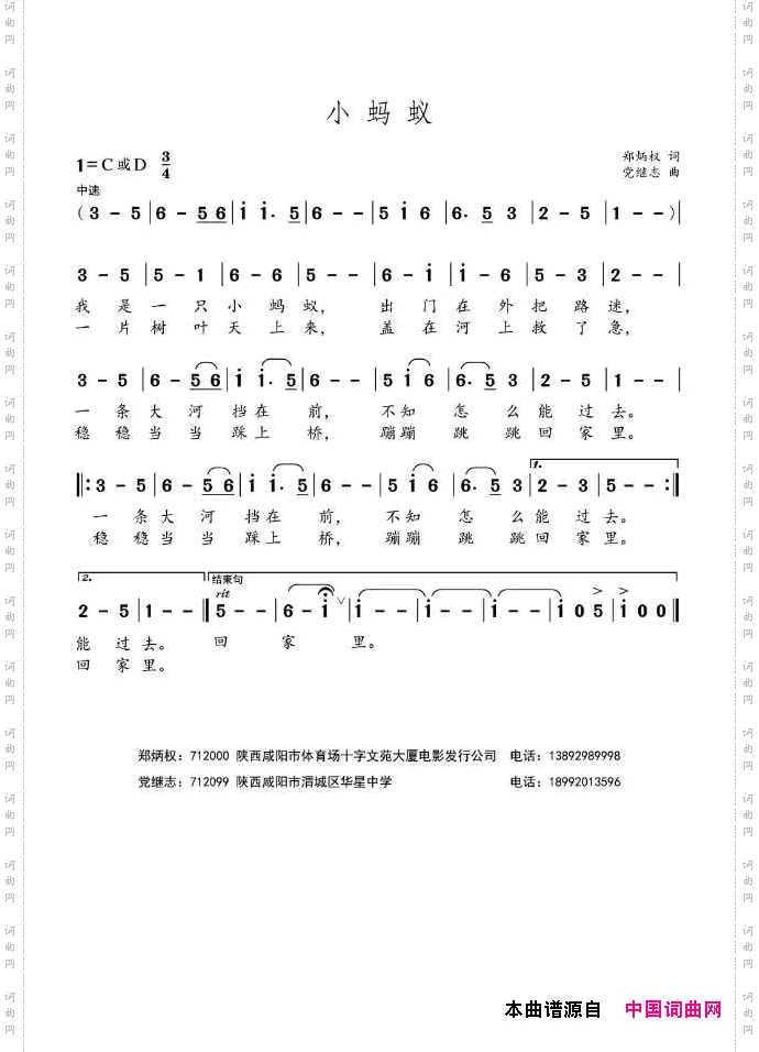 小蚂蚁
