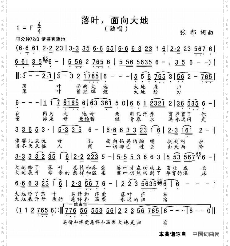 落叶，面向大地