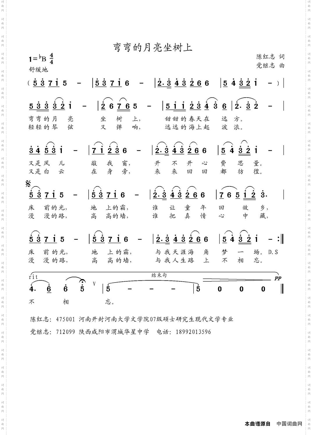 弯弯的月亮坐树上