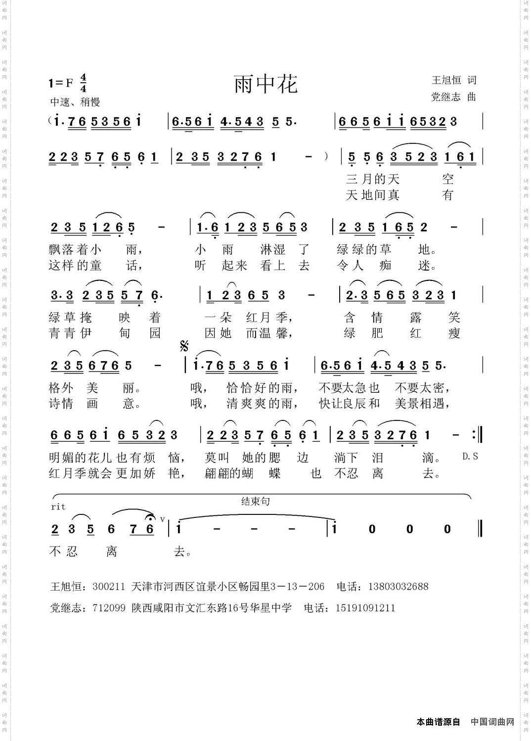 雨中花