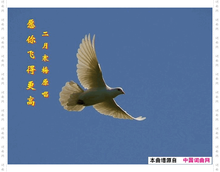 愿你飞得更高