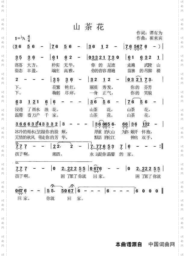 山茶花