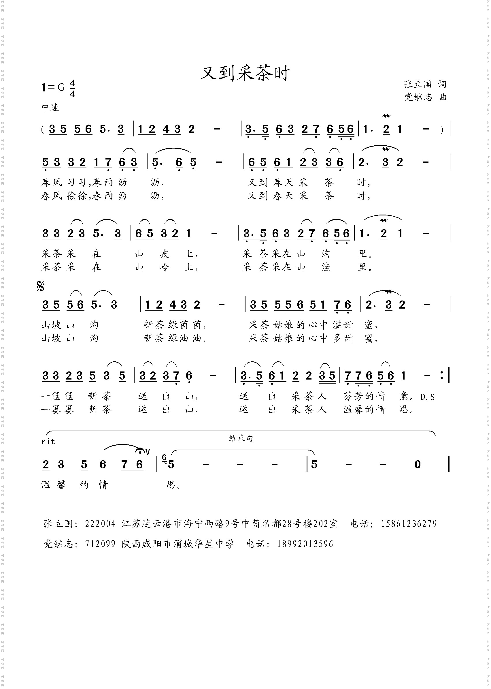 又到采茶时