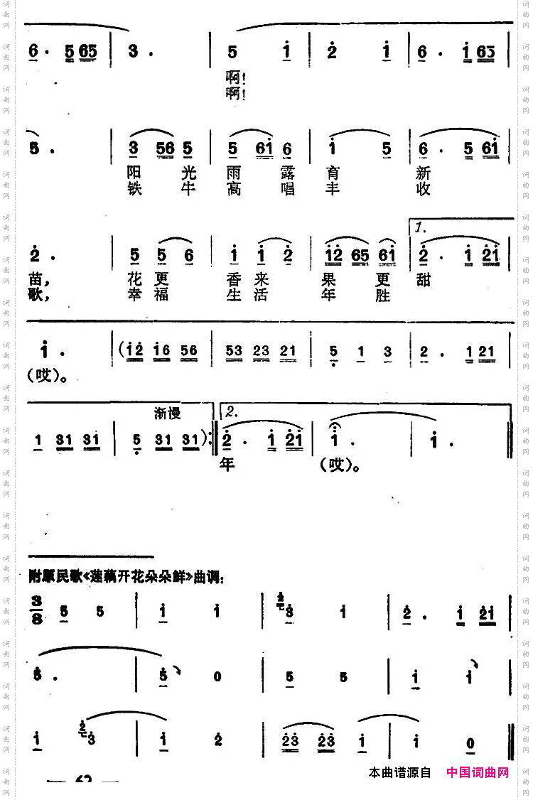 公社花开朵朵鲜